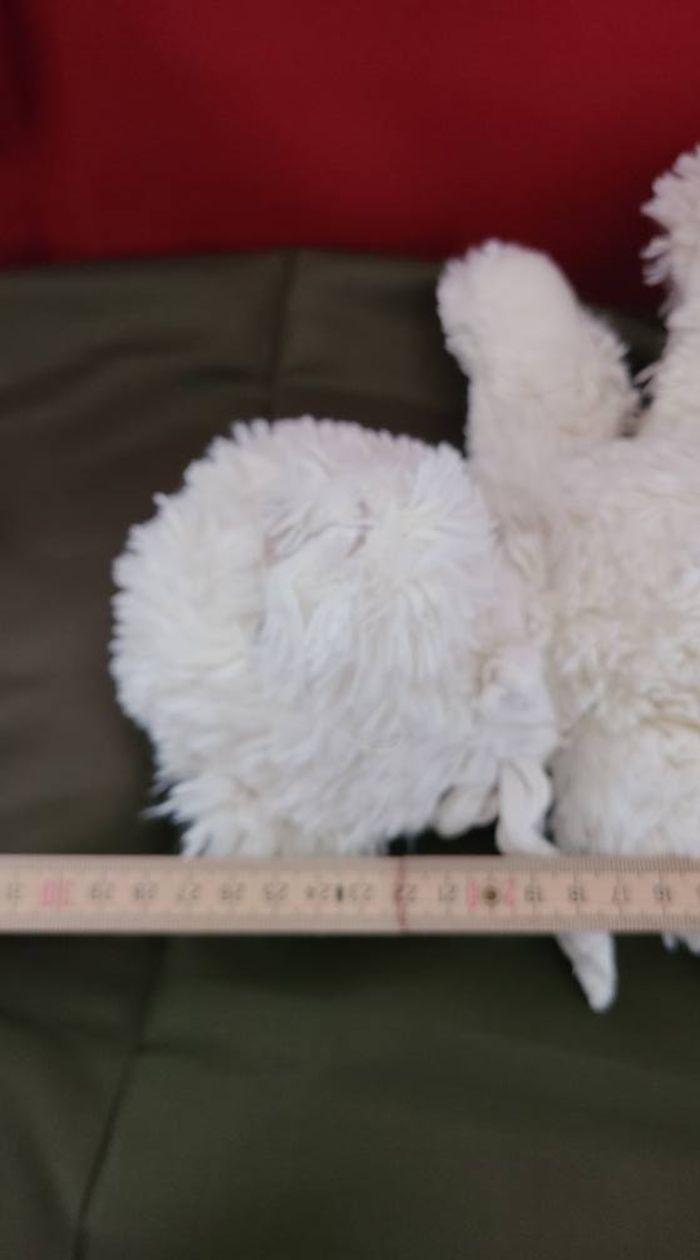 Bukowski Doudou Peluche Ours Blanc Mon Premier Ours - photo numéro 4