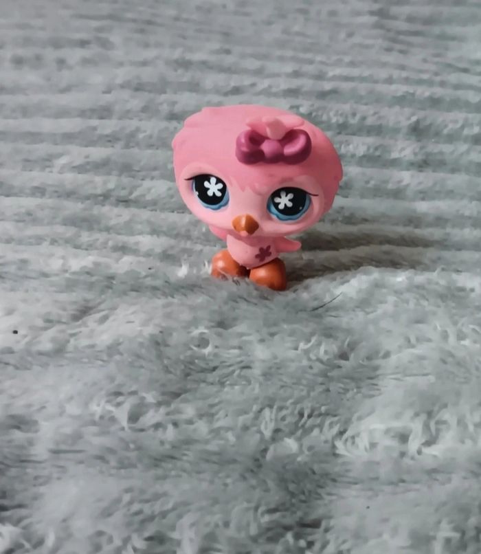 Petshop hibou 496