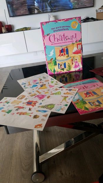 Au chateau livre et panneau autocollants