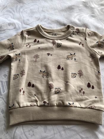 Lot de 3 sweat-shirt neuf C&A taille 6/9mois 74 cm
