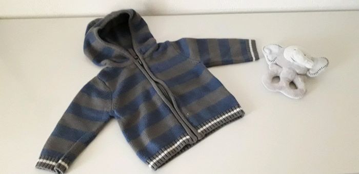 Gilet zippé à capuche 6 mois - photo numéro 8