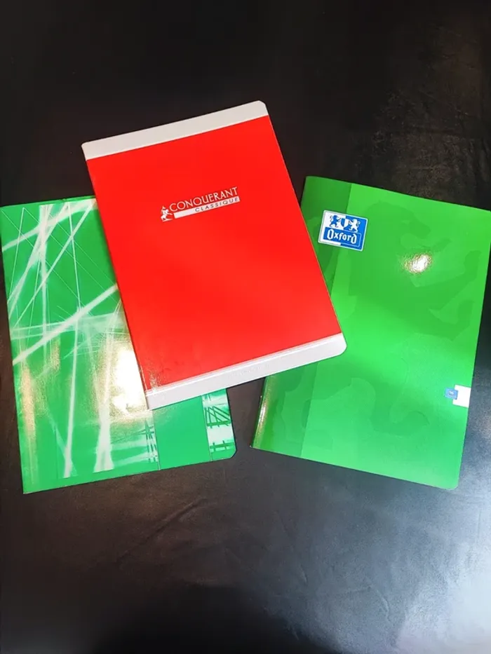 Lot de 3 cahiers format A4