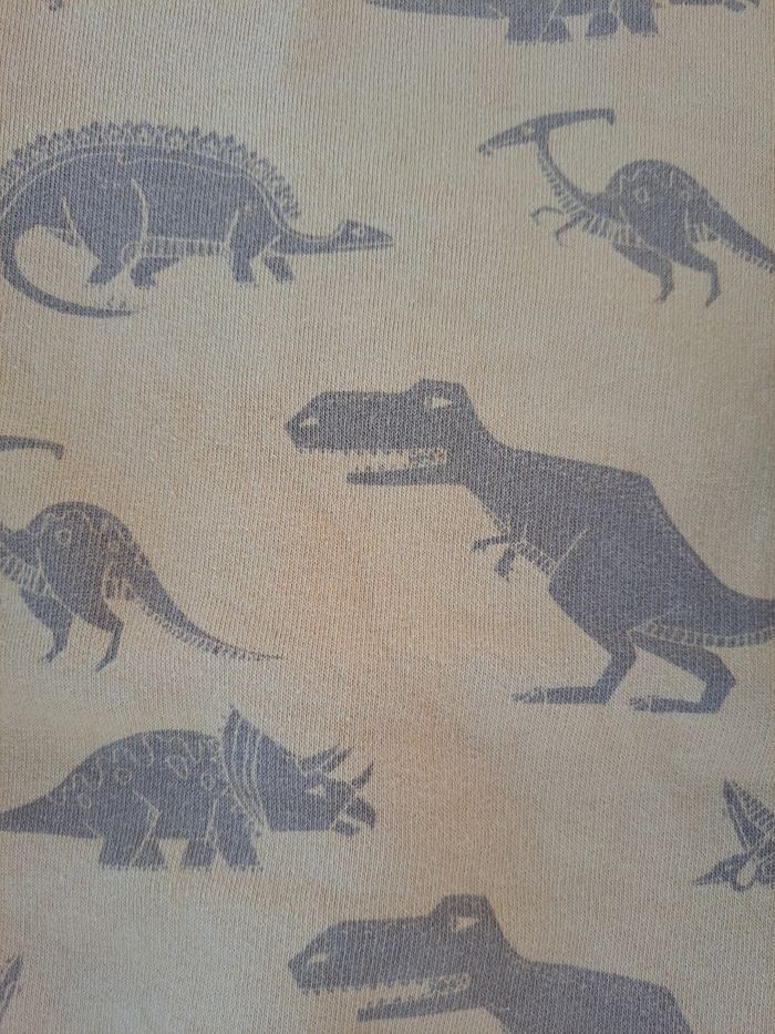 Sweat molletonné "Dinosaures" - photo numéro 3