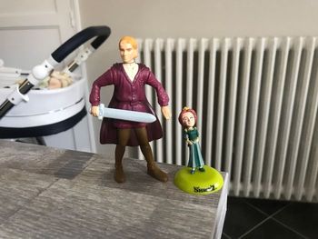 Figurine Shrek Fiona et prince charmant