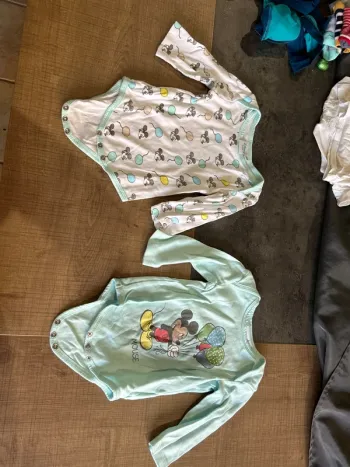 Lot de deux Bodys bébé