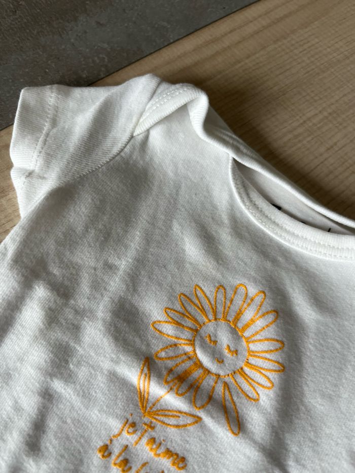 Lot 7 bodies - photo numéro 3