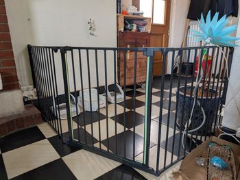 Barrière de sécurité enfant BabyDan