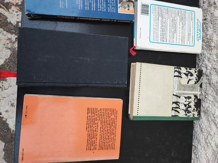 Livre Guide - photo numéro 6