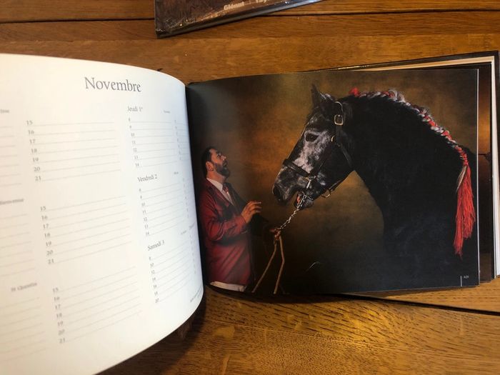 Agenda 2007 chevaux - photo numéro 5
