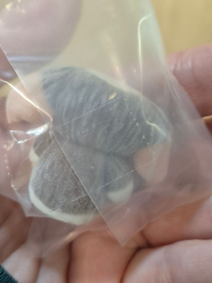 Gashapon figurine "Capsule Flockies" Gremlins : Guizmo - photo numéro 2