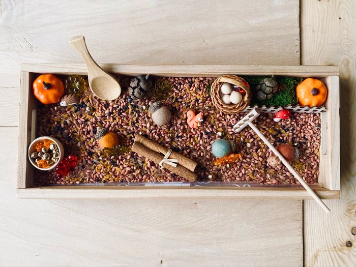 🍂Kit Montessori bac univers sensoriel – Thème Forêt automnale - photo numéro 4