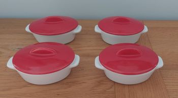 Lot de 4 cocottes ovales avec couvercles