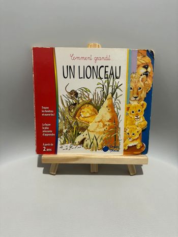 Livre Pour Enfant Un Lionceau