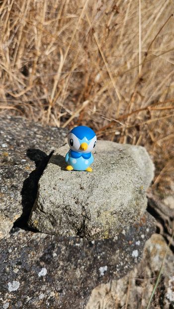 Super figurine Pokemon Nintendo finger puppet tiplouf