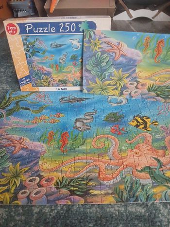 Puzzle aquatique