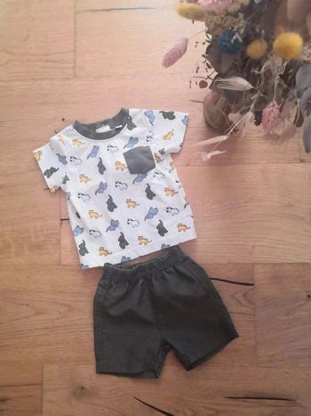 Lot T-shirt short 3 mois