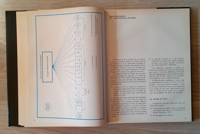 la marche de l'homme dans la république arabe lybienne - photo numéro 9