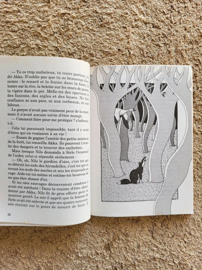 Livre Le merveilleux voyage de Nils Holgersson à travers La Suède de Selma Lagerlöf - Castor Poche - photo numéro 8