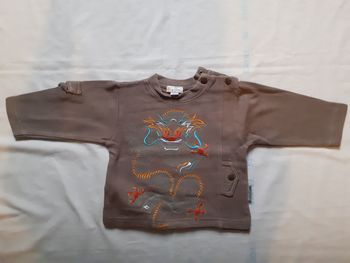 Sweet marron motif dragon coloré