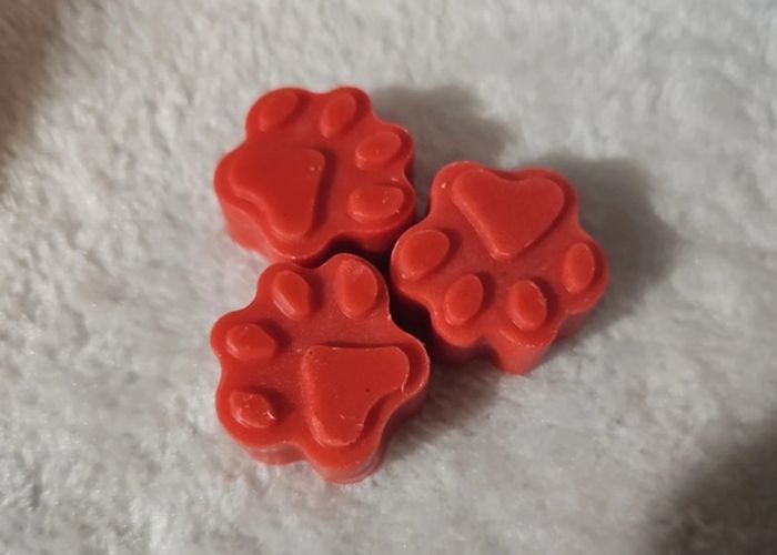 Fondant de cire - photo numéro 5