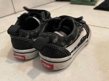 Basket Vans