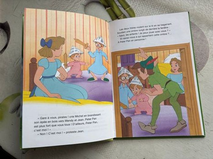 Livre Disney - photo numéro 3