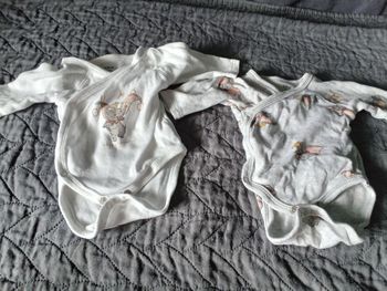 Bodies