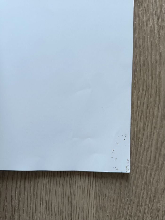 Livre les grandes vacances du souriceau école des loisirs - photo numéro 3