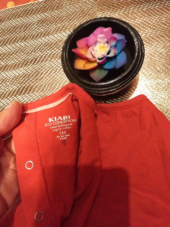 LOT 2 T-shirts coton bio 1 mois - photo numéro 5