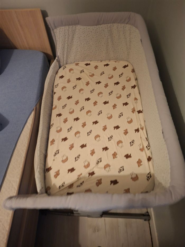 Cododo chicco - photo numéro 2