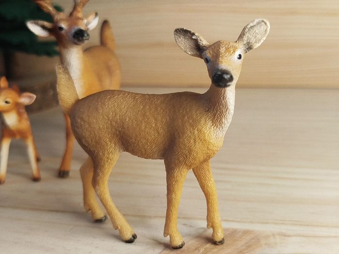 Schleich famille corvidés Figurines animal de la forêt - photo numéro 4