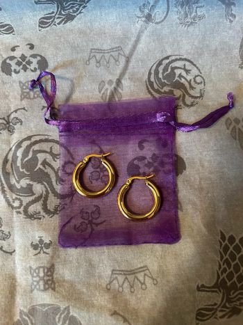 Créoles en acier inoxydable