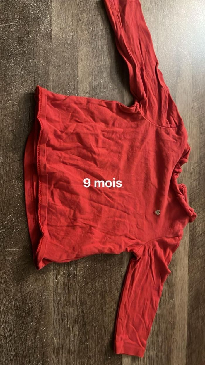Vêtement 9 mois - photo numéro 6