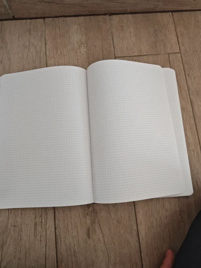 Lot copies doubles et cahier - photo numéro 8