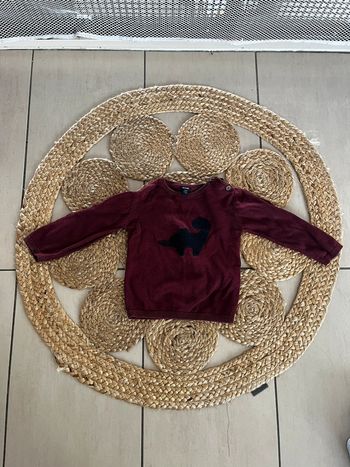 Pull 24mois