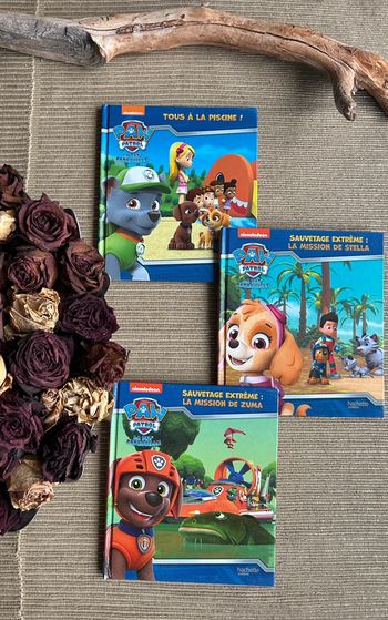 3 livres Pat Patrouille
