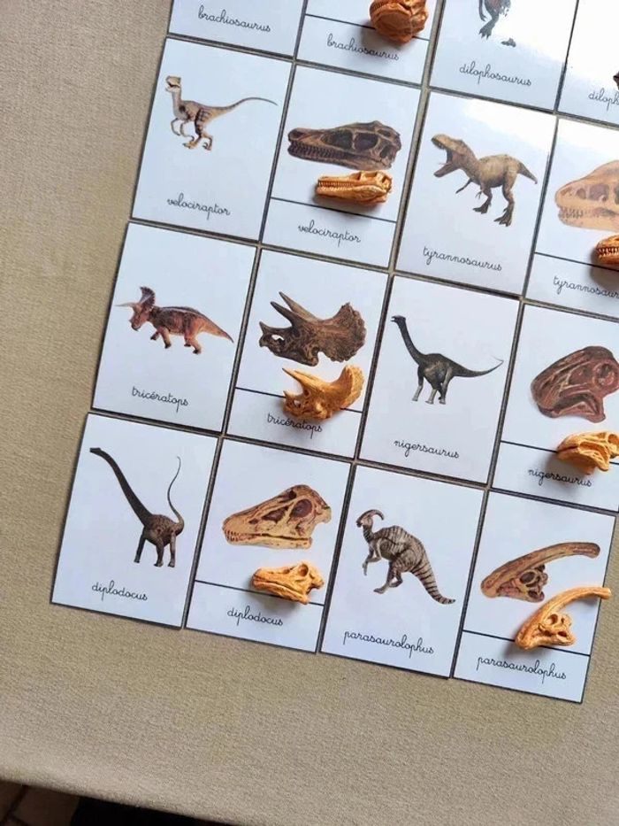 Kit nomenclatures des dinosaures avec crânes Montessori - photo numéro 4