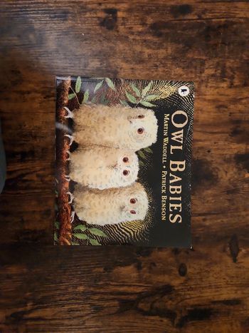 Livre : Owl babies