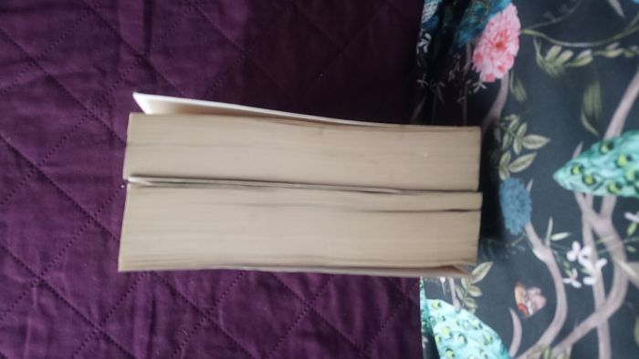 Livres Vampire story Tome 1 et 2 de David Wellington - photo numéro 4