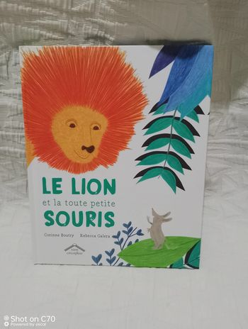 Livre le lion et al toute petite souris