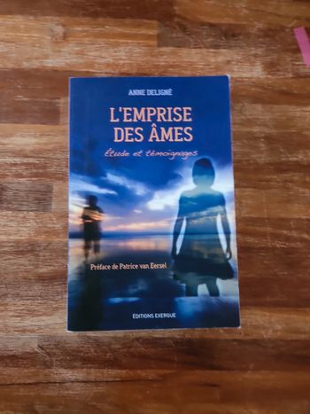 Livre : L'emprise des âmes