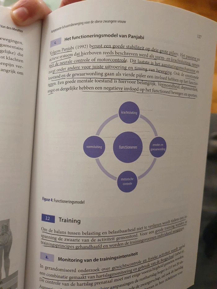 Zwangerschap and obesitas boek - photo numéro 3