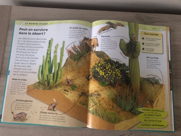 Encyclopédie enfant - photo numéro 3