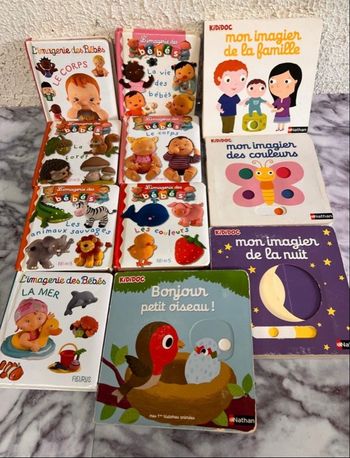 Lot de 11 livres 