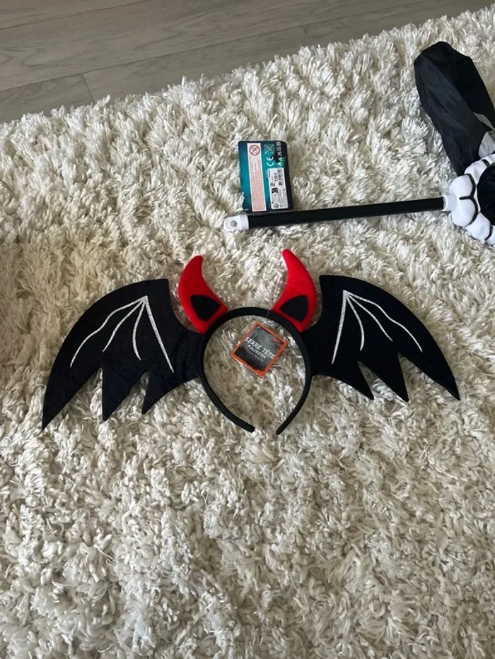 Accesoires Halloween - photo numéro 2
