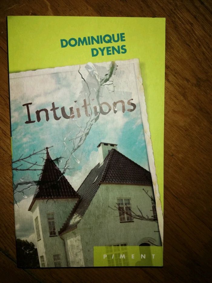 Livre "intuitions" Dominique Dyens
