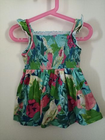 Top tropical perroquets 6 ans