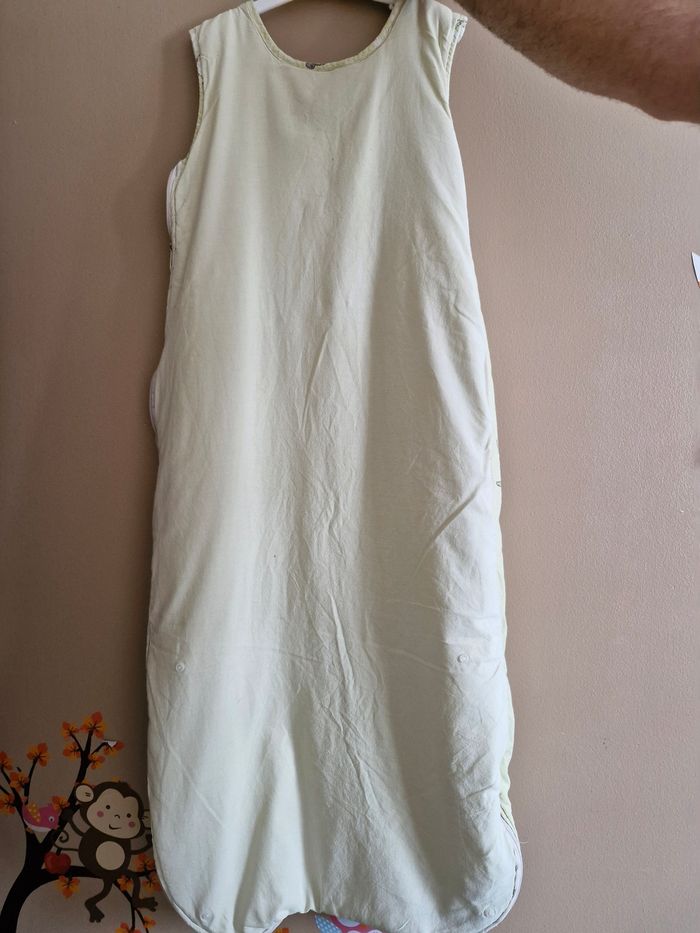 Grenouillère nuit - photo numéro 2