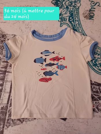 Tee-shirt "Poissons" en 36 mois Moulin Roty