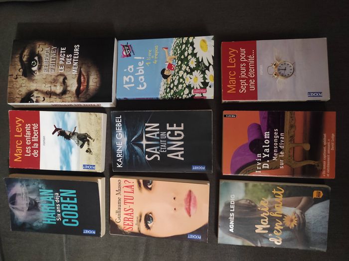 Lot de plusieurs romans poche